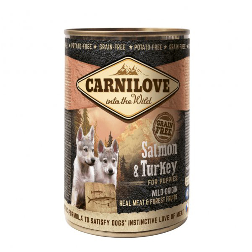 PÃ¢tÃ©e chiot saumon/dinde 400g