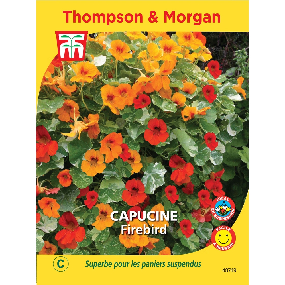 CAPUCINE FIREBIRD-(814722)