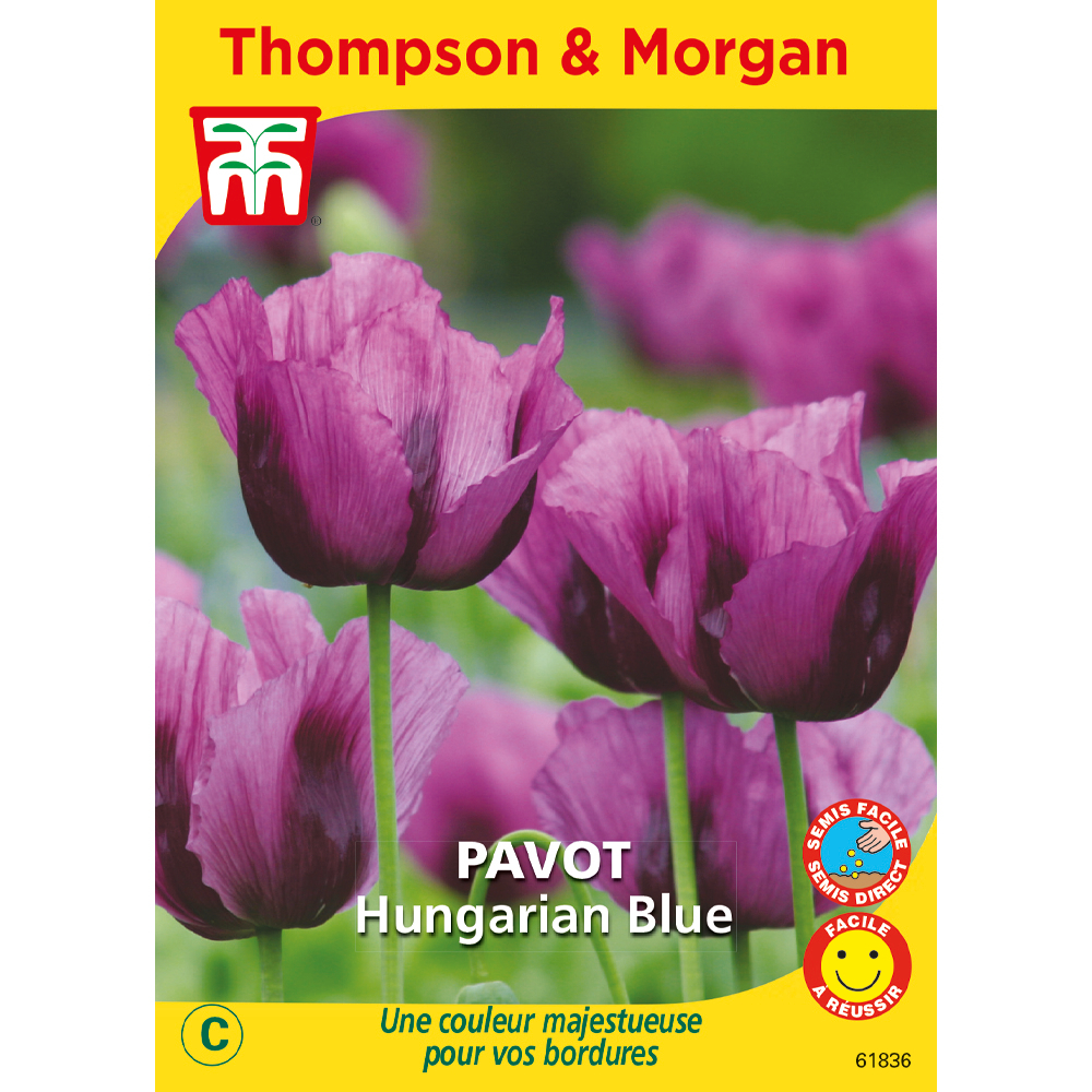 PAVOT HUNGARIAN BLUE-(814726)