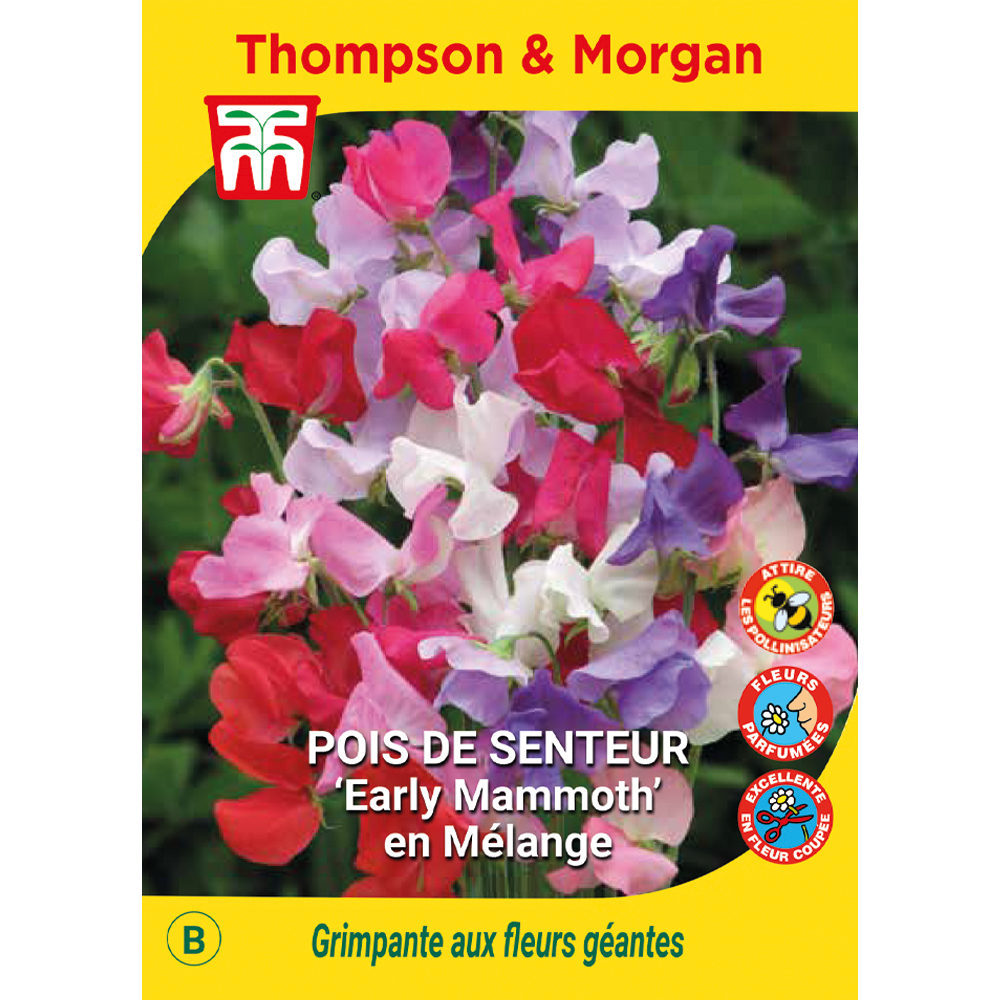 POIS DE SENTEUR EA MAMMOTH MEL-(814728)