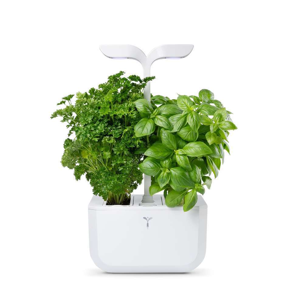 Potager d'intérieur 'Exky® Classic' - blanc