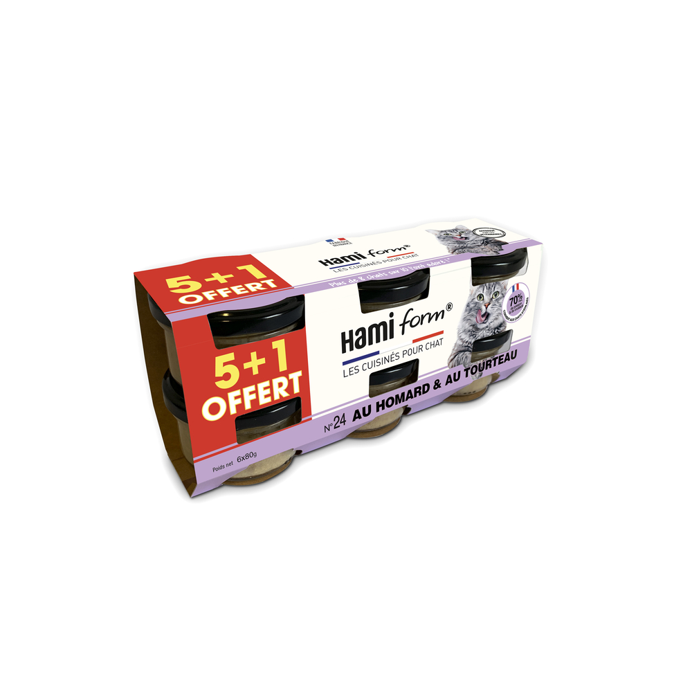 Recette cuisinÃ©e chat 6 pots homard et riz