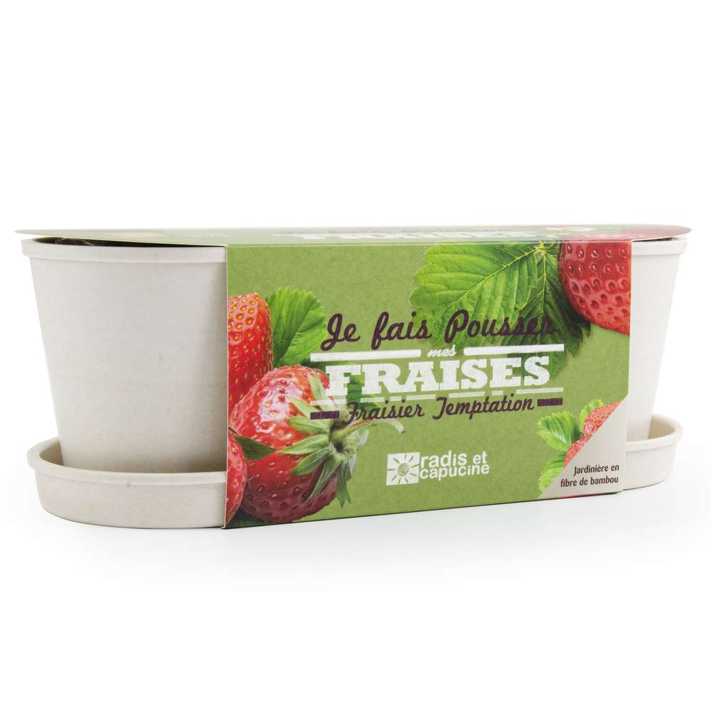 JARDINIERE BAMBOU FRAISIERS-(814925)
