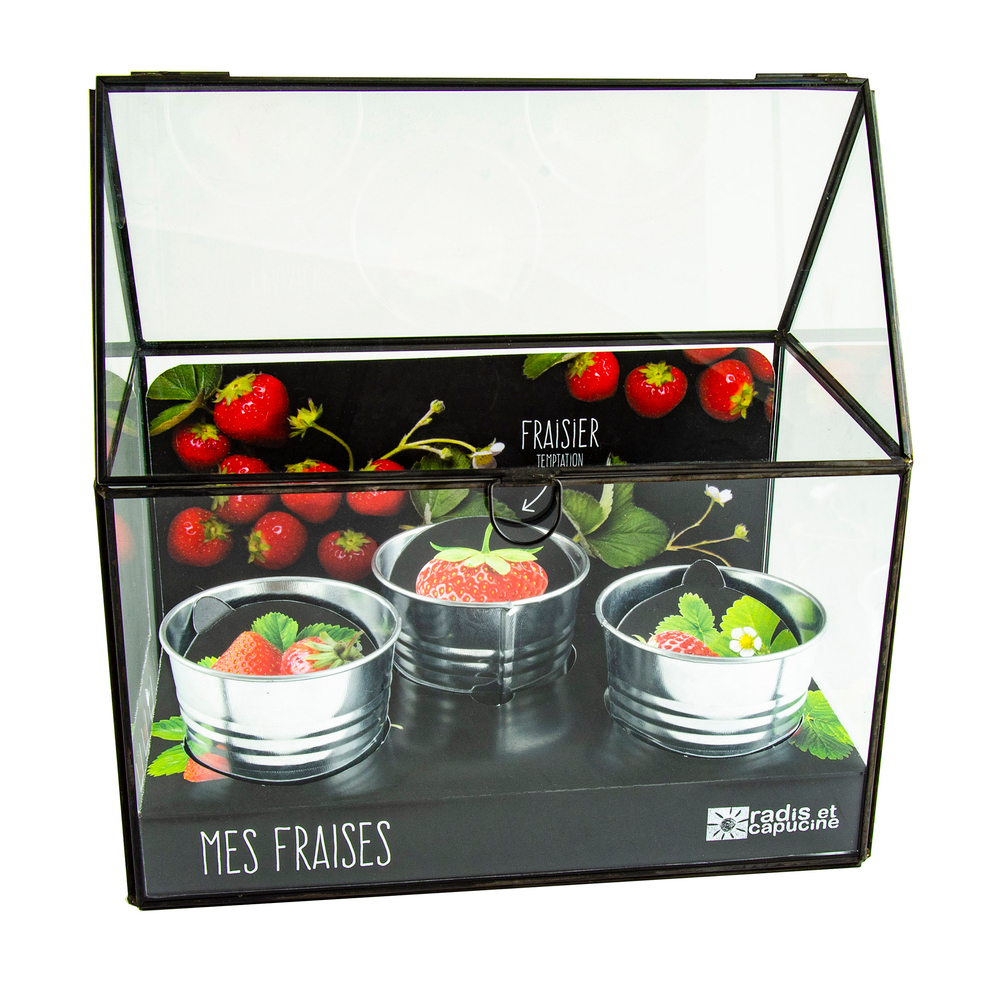 CHASSIS NOIR FRAISIER-(814930)