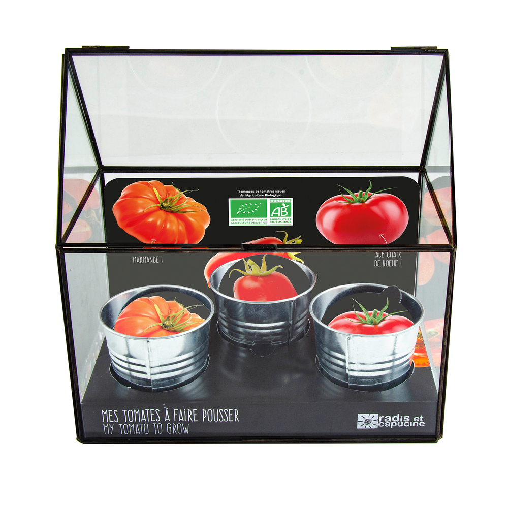 CHASSIS NOIR TOMATES-(814931)