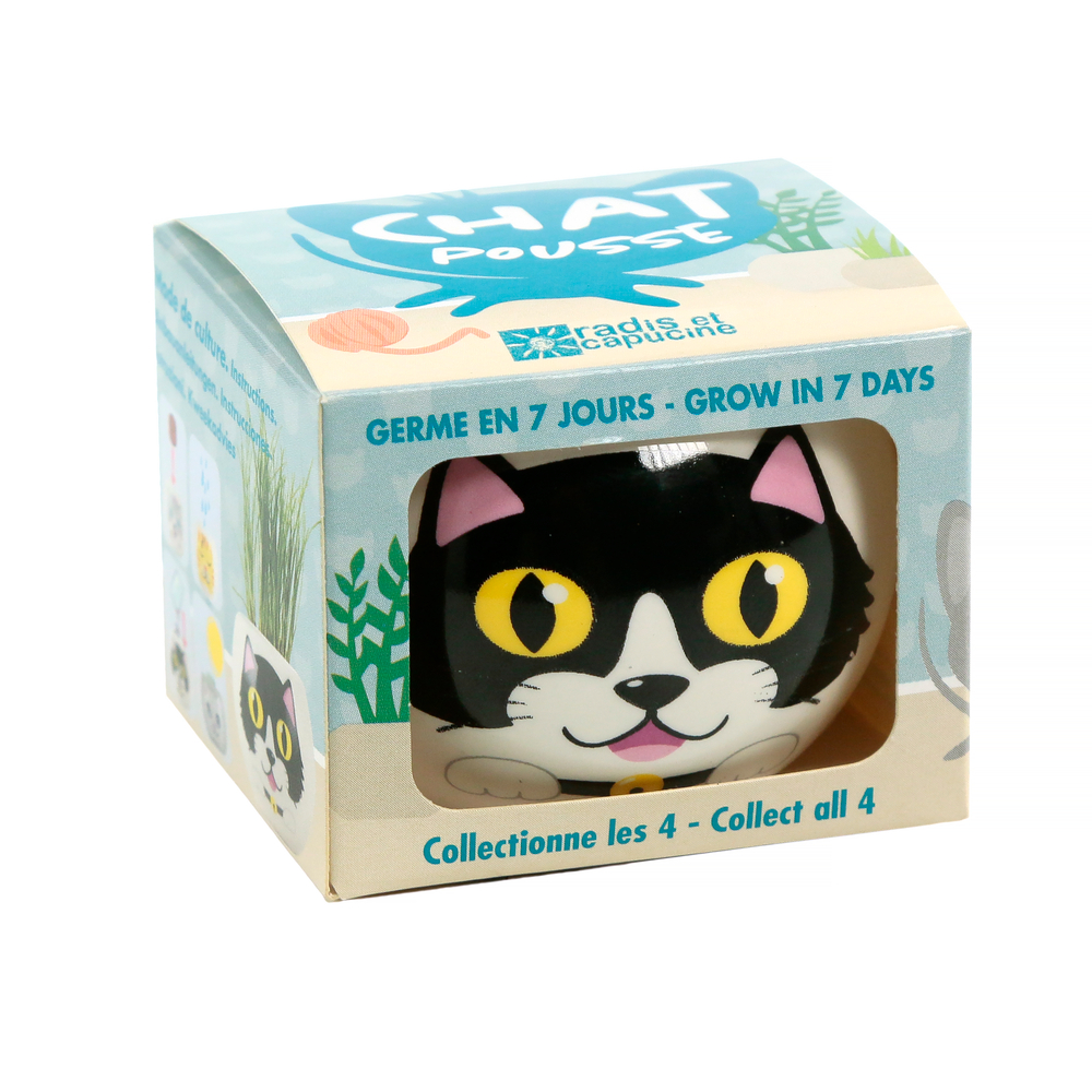 Graines de fleurs-Kit chat blanc et noir