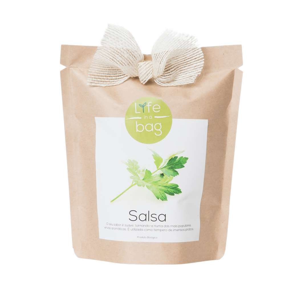 Kit bio prêt à pousser persil