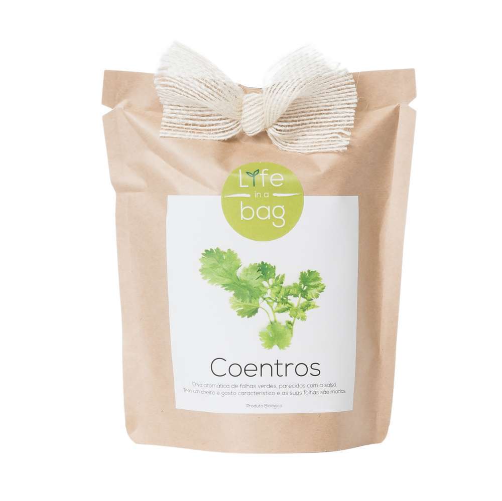 BAG KRAFT CORIANDRE-(814960)