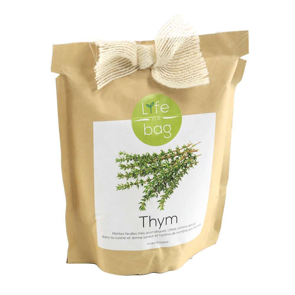 BAG KRAFT THYM-(814961)