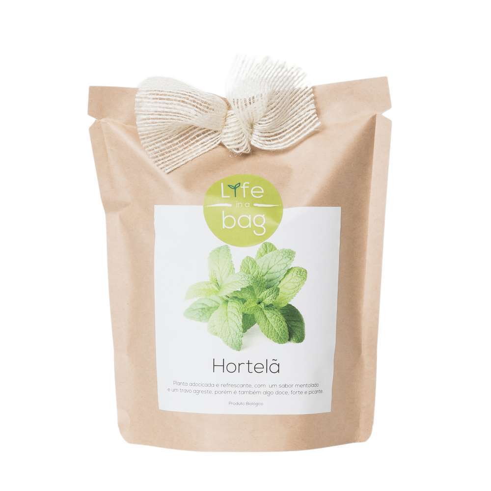 BAG KRAFT MENTHE-(814962)