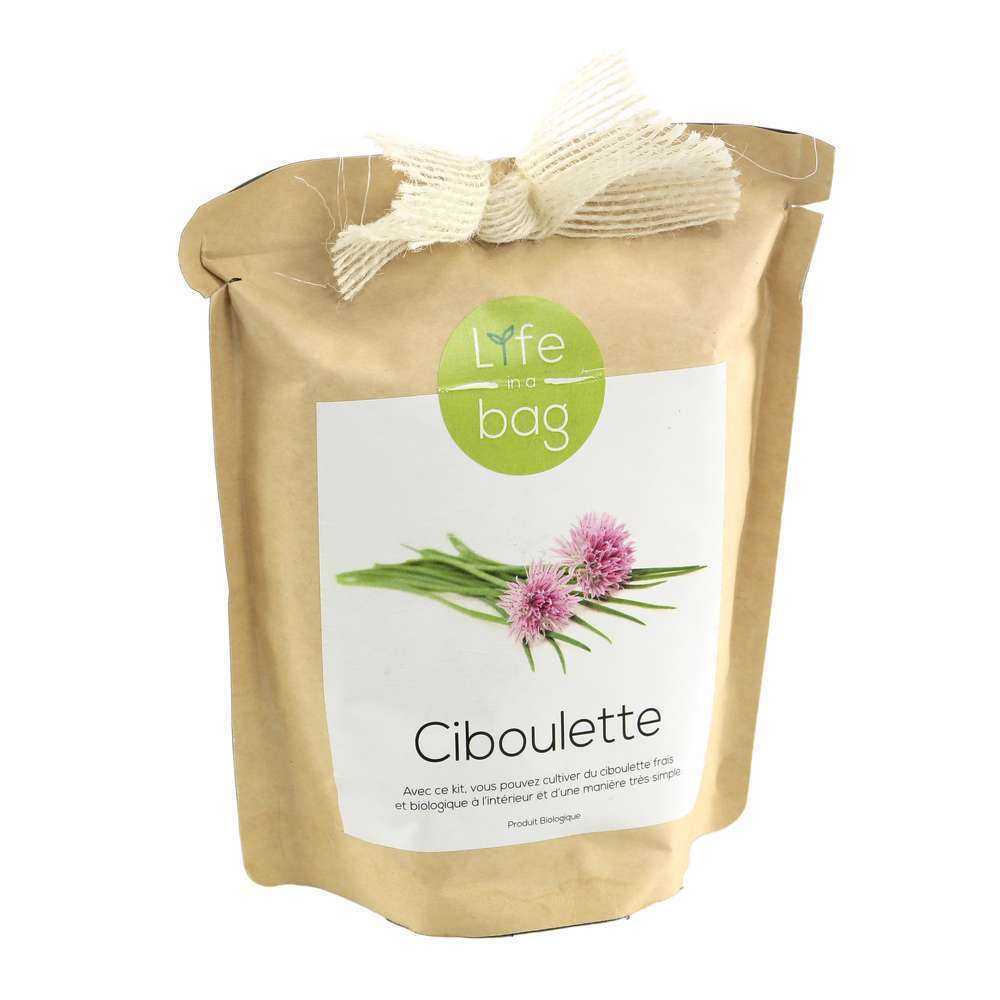 BAG KRAFT CIBOULETTE-(814963)