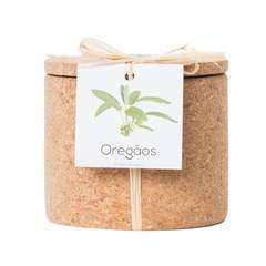 Graines Origan BIO - La Semence Bio