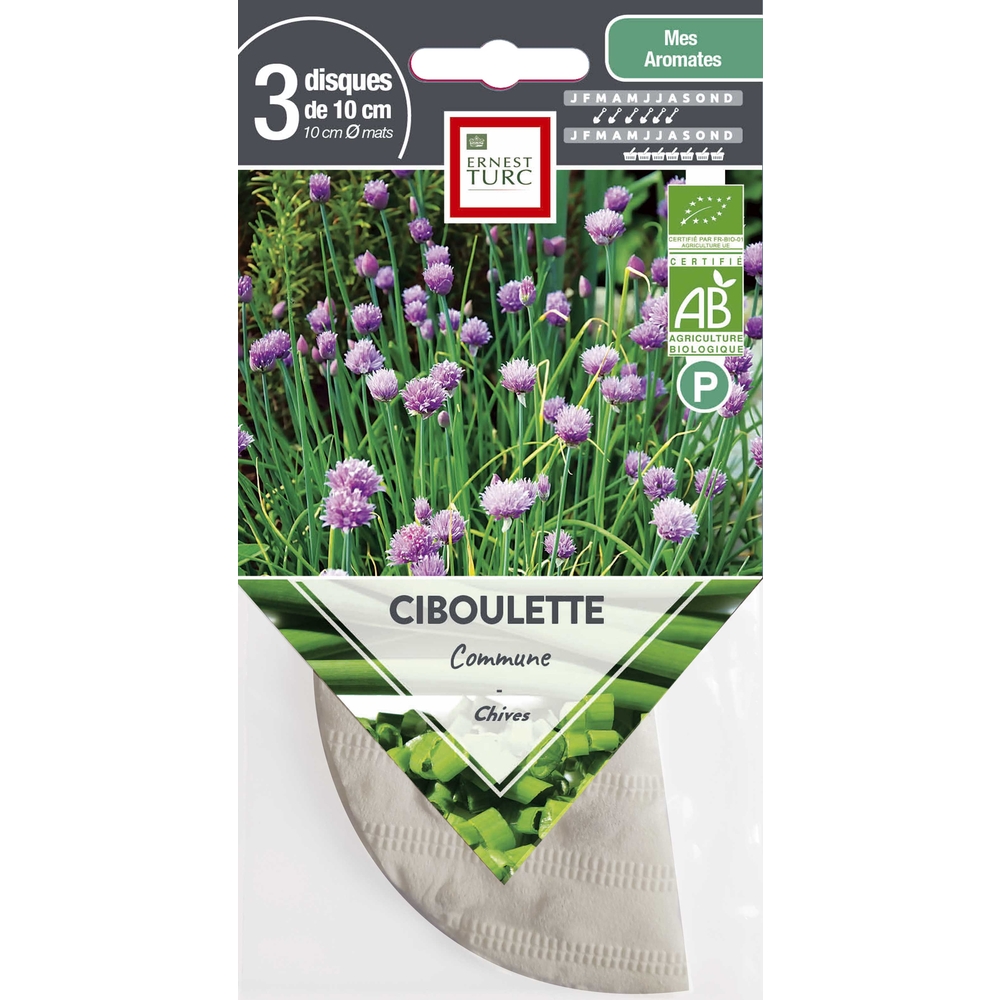 CIBOULETTE COMMUNE-(814995)