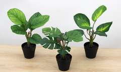 Lot de 3 plantes vertes tropicales artificielles toucher naturel 25 cm |  Truffaut