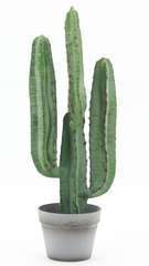 Grand cactus Euphorbe artificiel à 4 branches pot gris 70 cm