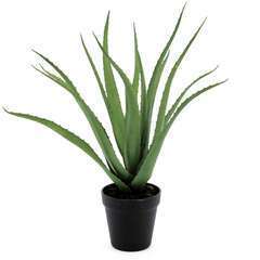 Aloe vera artificielle pot noir 45 cm