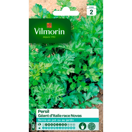 Graines de persil géant d'Italie en sachet