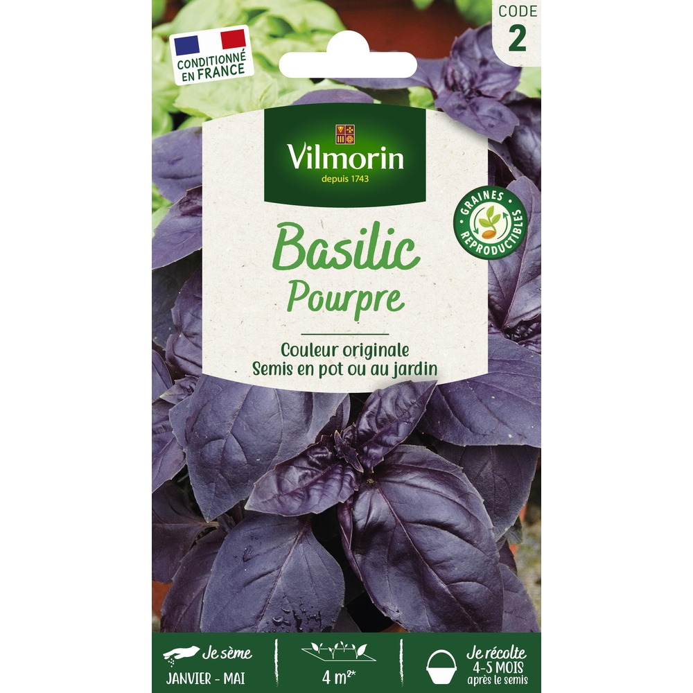 Graines de basilic pourpre en sachet