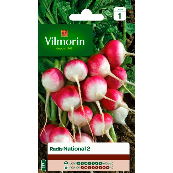 Graines de radis National 2 en sachet