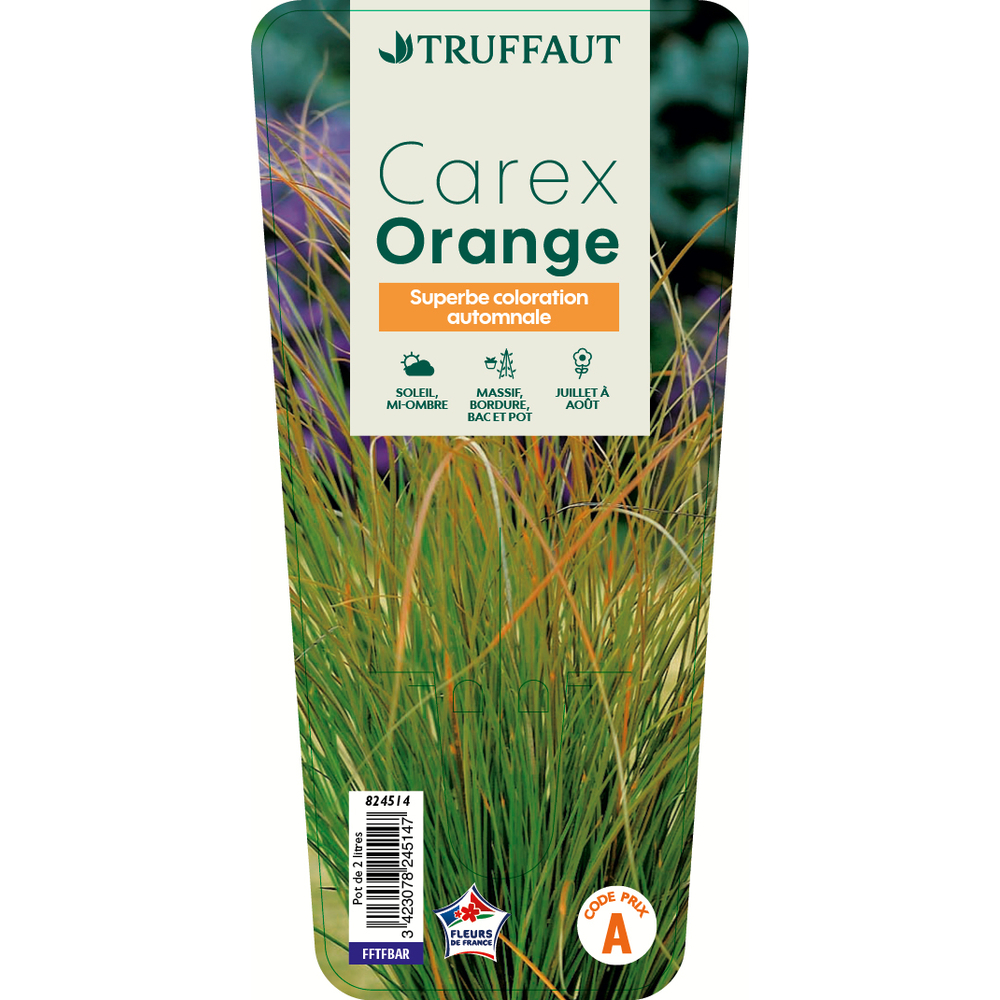CAREX ORANGE C 2L-(824514)