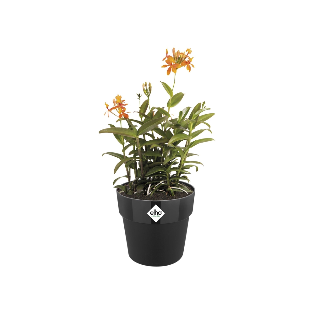 Cache-pot B.for Original rond 22cm Living noir