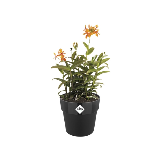 Cache-pot B.for Original rond 22cm Living noir