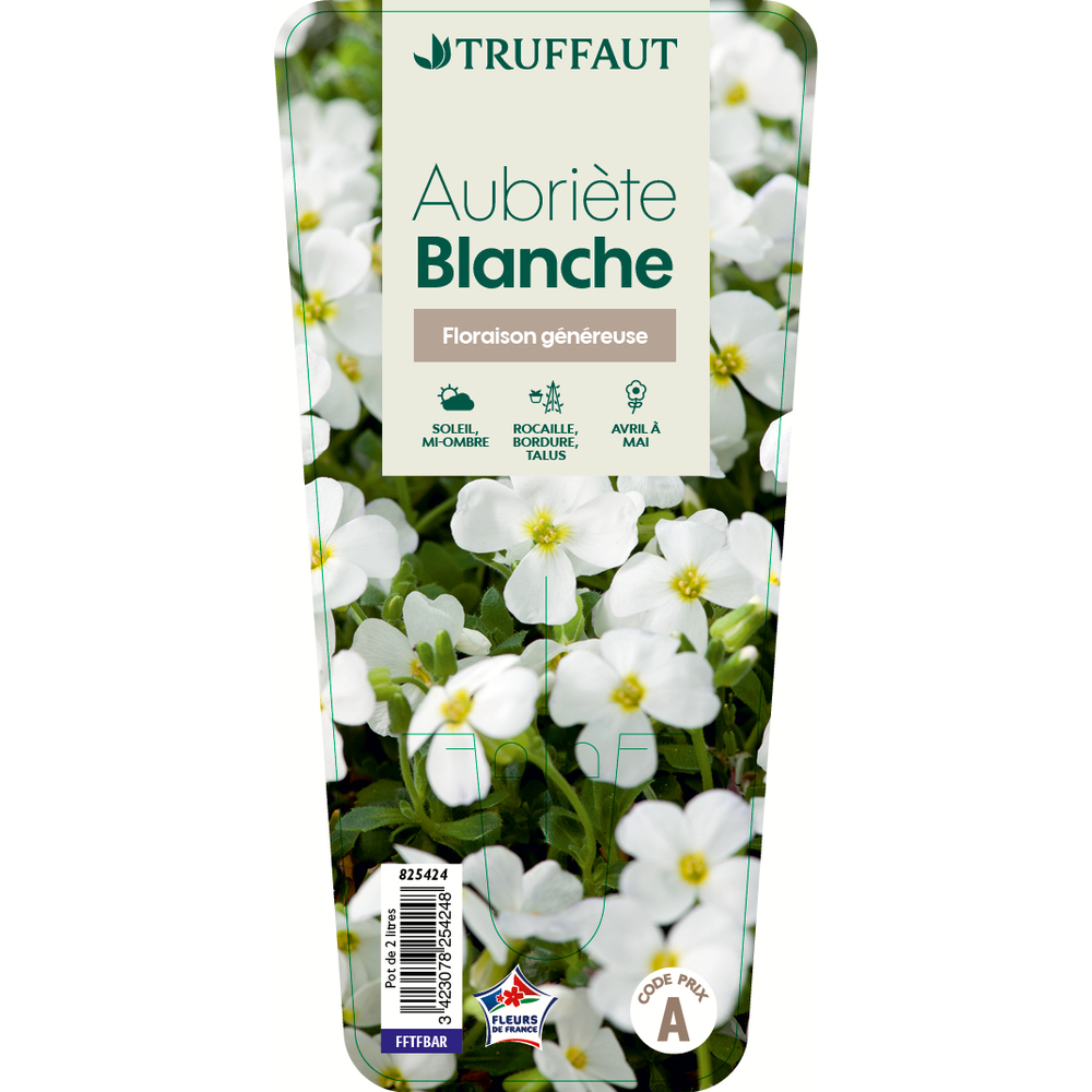 AUBRIETE BLANCHE C 2L-(825424)