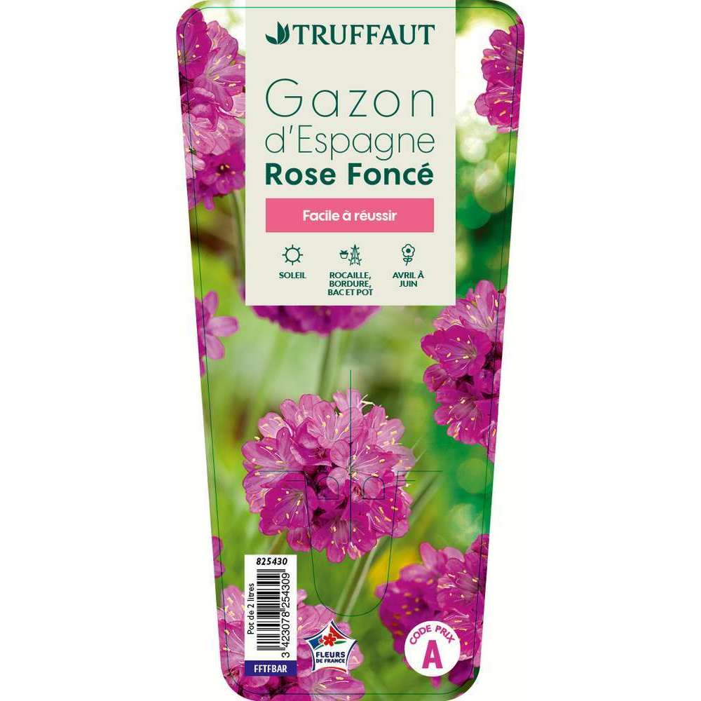 GAZON ESPAGNE ROSE FONCE C2L-(825430)