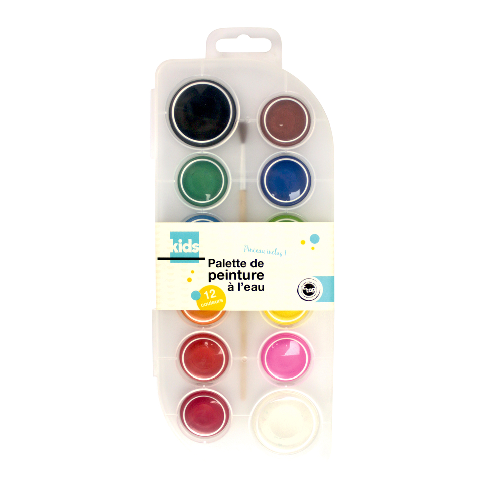 Boîte de Peinture à l'eau de 12 couleurs et un pinceau