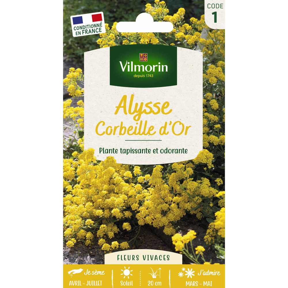 ALYSSE CORBEILLE OR VIL-(826825)