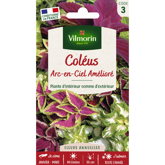 Coléus Arc-en-Ciel Amélioré 0,1 g