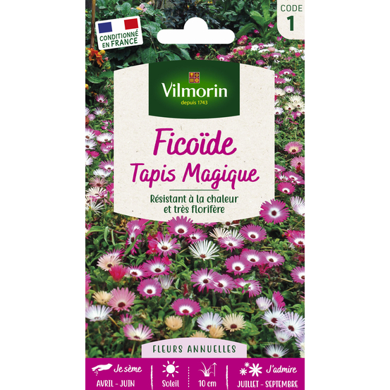 Ficoïde Tapis Magique 1 g