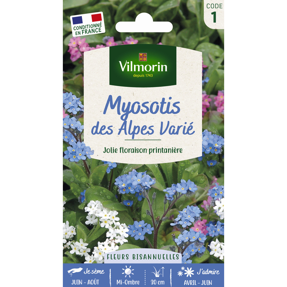 Myosotis des Alpes Varié 0,7 g