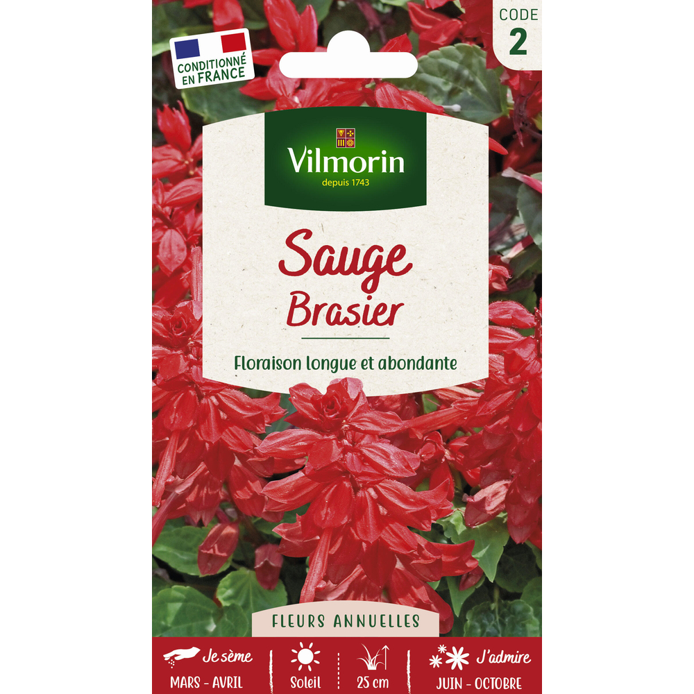 Sauge Rouge Brasier 0,8 g
