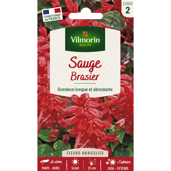 Sauge Rouge Brasier 0,8 g