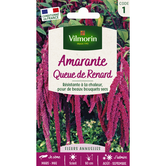 AMARANTE QUEUE DE RENARD VIL-(826838)