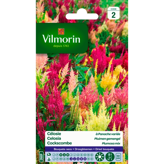 Célosie à Panache Variée 0,4 g