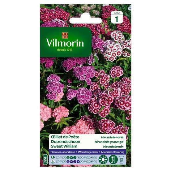 Œillet de Poète Hirondelle Varié 1,5 g