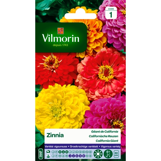 Zinnia Géant de Californie 2 g
