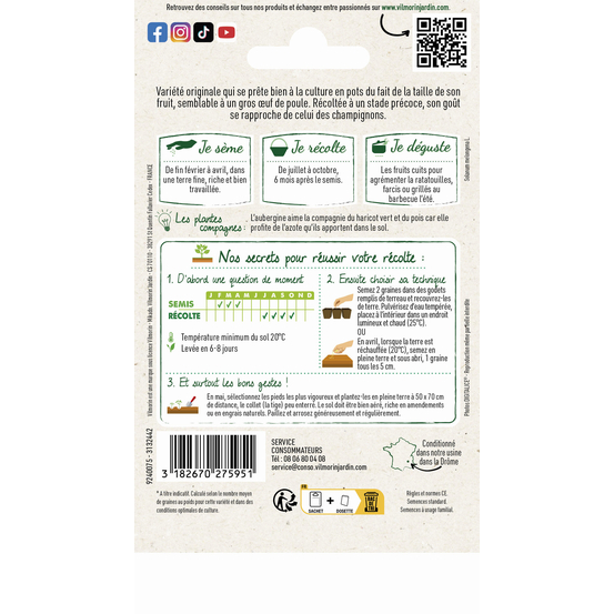 AUBERGINE BLANCHE VIL-(826847)