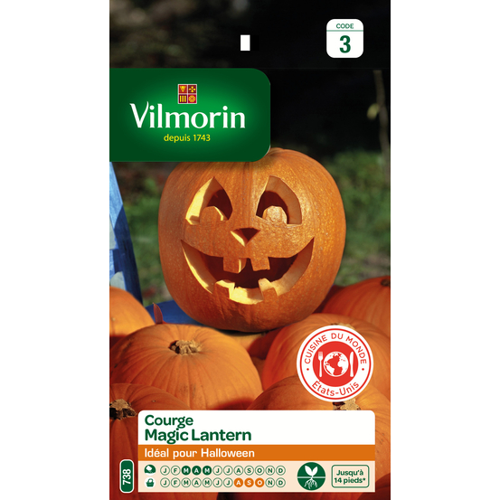 Graines de courge Magic Lantern en sachet