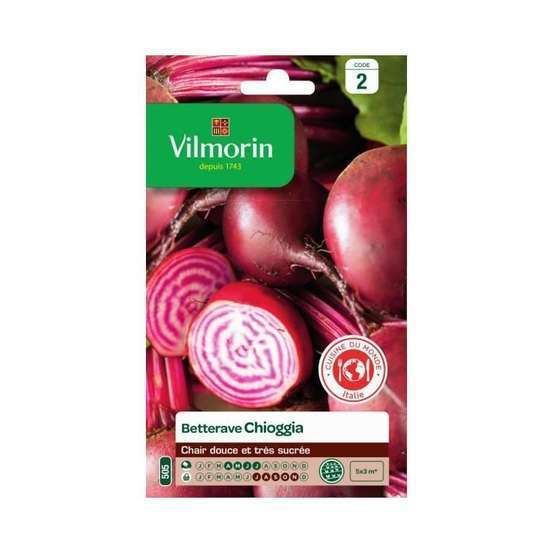 Graines de betterave Potagère Chioggia en sachet