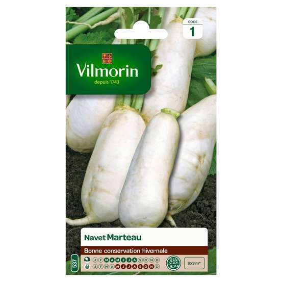 Graines de navet des Vertus Marteau en sachet