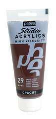 ST.ACRYLICS 100ML OMBRE BRULEE-(827500)
