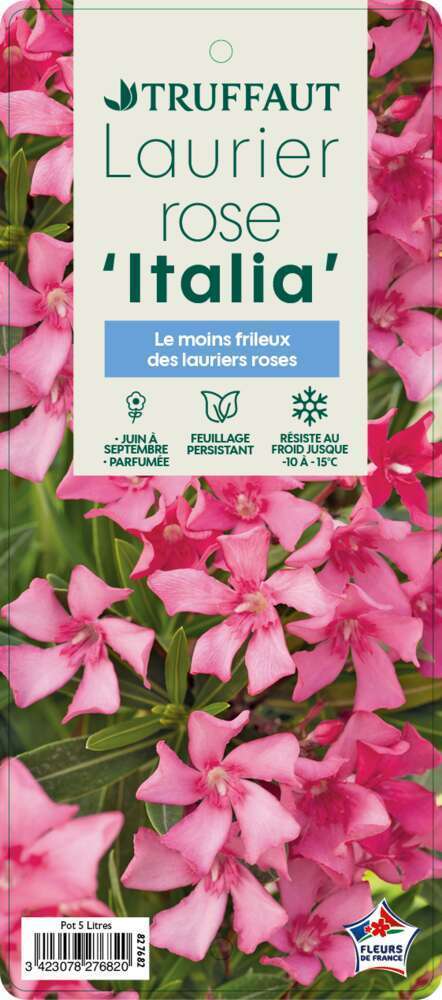 NERIUM OLEAN.ITALIA C5L MDD-(827682)