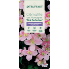 CLEMATIS MONT.PINK PERF.6L MDD-(827963)