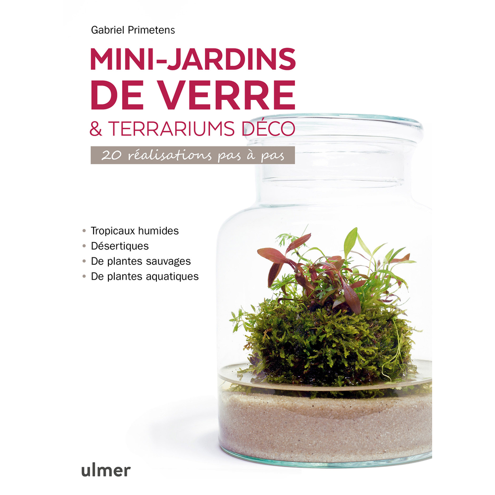 MINI-JARDINS DE VERRE-(828756)