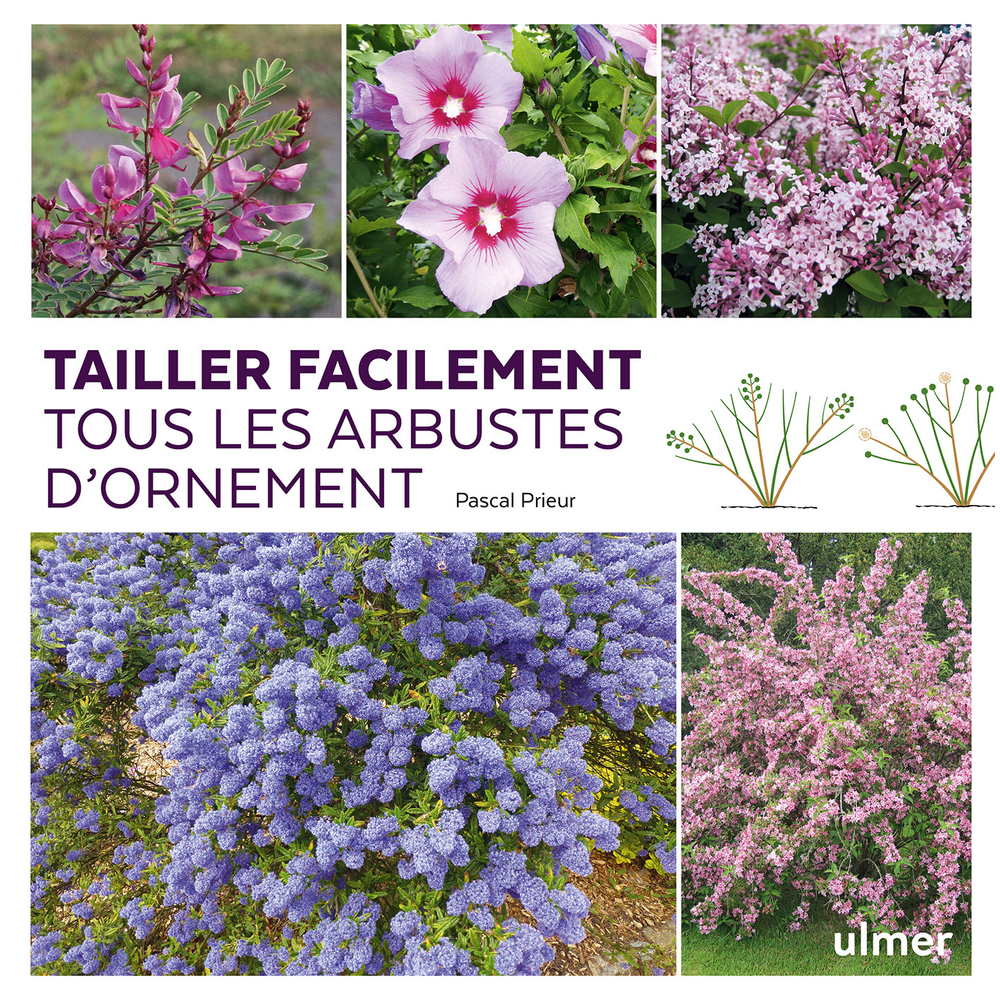 TAILLER ARBUSTES D ORNEMENT-(828758)