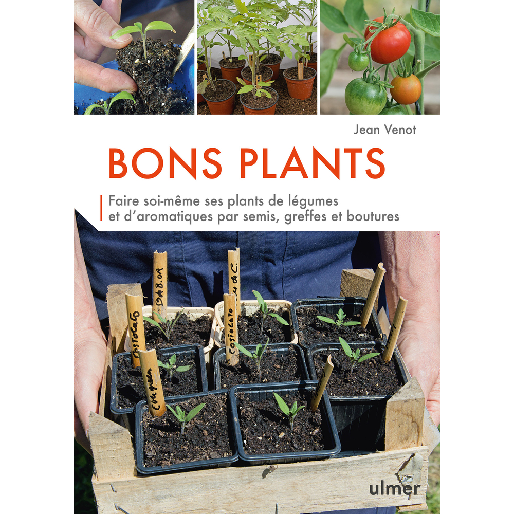 BONS PLANTS-(828762)