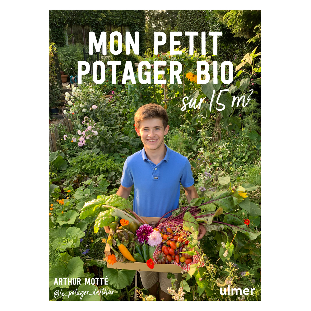 MON POTAGER ECOLO-(828768)
